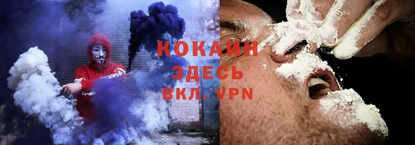 прущие грибы Волосово