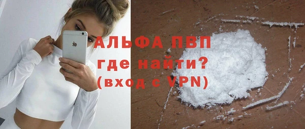 прущие грибы Волосово