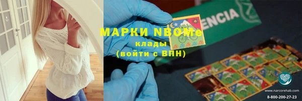 прущие грибы Волосово