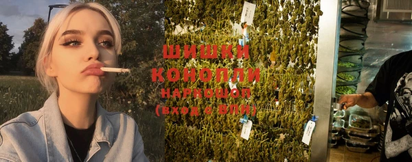 прущие грибы Волосово