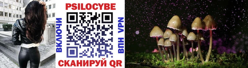 что такое дарк нет телеграм Галлюциногенные грибы Cubensis Орехово-Зуево