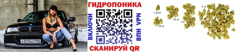 Бошки Шишки THC 21%  гидра рабочий сайт  Орехово-Зуево  купить наркотики сайты 
